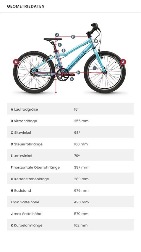 ACADEMY Grade 3 Belt Kinderfahrrad – Bild 6